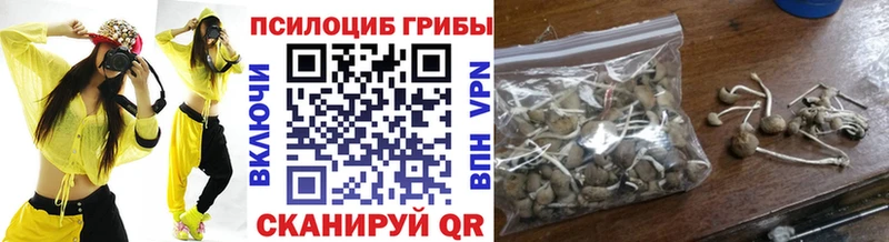 Псилоцибиновые грибы Cubensis  где найти   Лесной 
